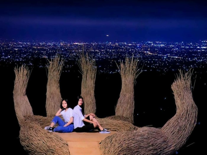 Hutan Pinus Pengger - Open Trip Indonesia | Paket Wisata Indonesia Hutan Pinus Pengger - Open Trip Indonesia | Paket Wisata Indonesia