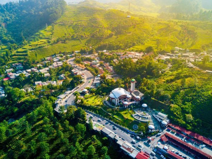 5 Tempat Piknik di Bogor yang Cocok Untuk Liburan