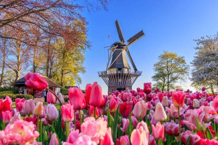 Cara Menuju Keukenhof: Rute Terbaik dari Amsterdam dan Sekitarnya