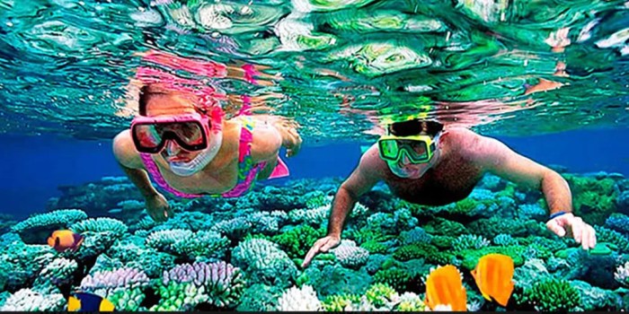 Snorkelling - Dive UK