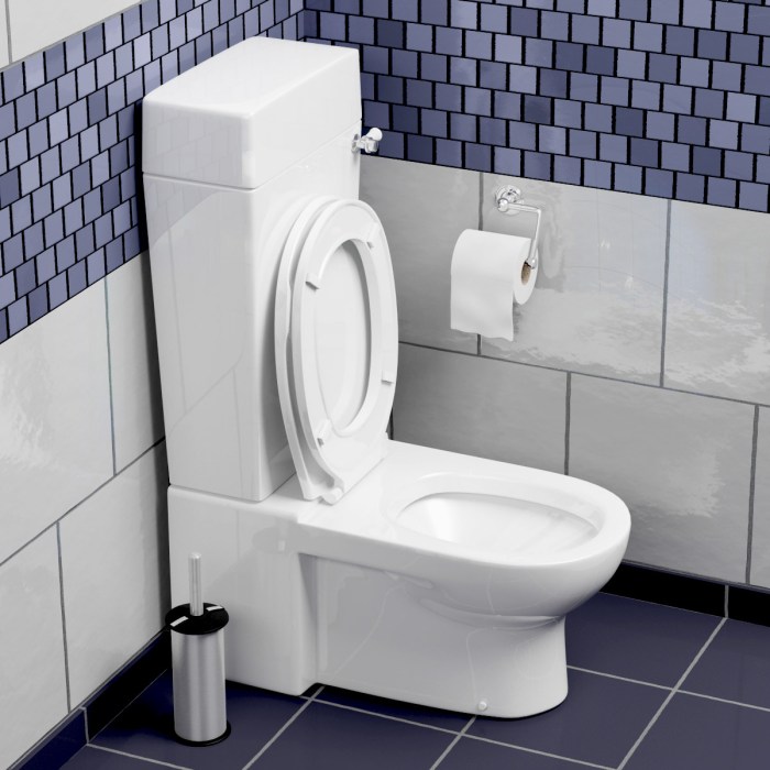 10 Features to Avoid When Buying a New Toilet Toilet musala Monas